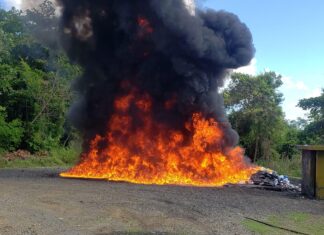 El Inacif quema más de mil kilogramos de distintas drogas