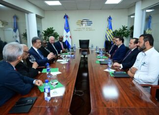 Leonel Fernández recibe comisión del Gobierno dominicano