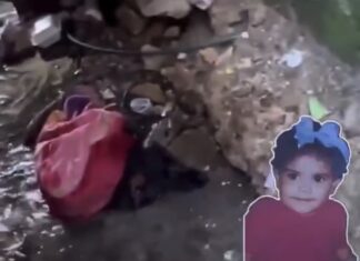 Arrestan padre de niña encontrada en cañada de Los Girasoles por presunta vinculación al hecho