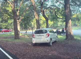 Denuncian estacionamiento irregular en áreas prohibidas del Parque del Este